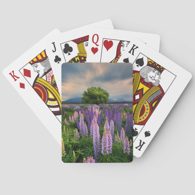 Lupin Field in New Zealand Playing Cards (Back)