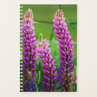 Lupin Small Soft Cover, White Spiral Planner