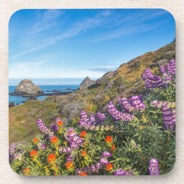 Lupine And Paintbrush Wildflowers Coaster (Front)