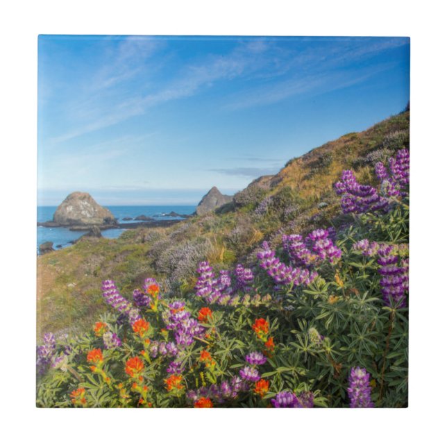 Lupine And Paintbrush Wildflowers Tile (Front)