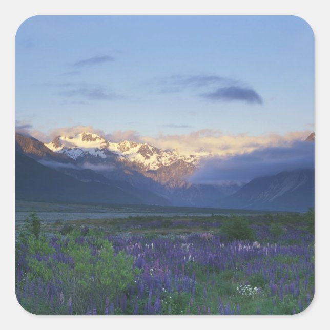 Lupine and the Main Divide, Arthur's Pass, South Square Sticker (Front)