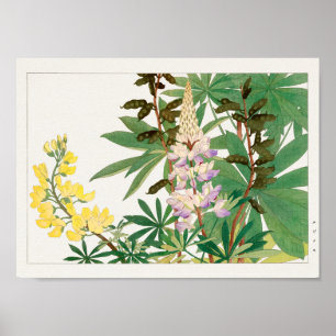 Lupine by Tanigami Konan Poster