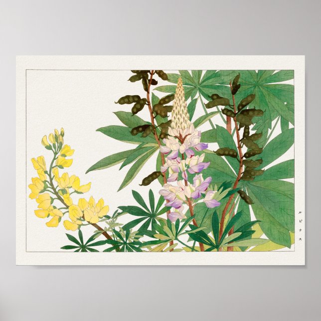 Lupine by Tanigami Konan Poster (Front)