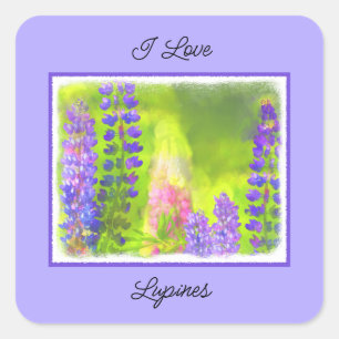 Lupine Painting - Original Flower Art Square Sticker