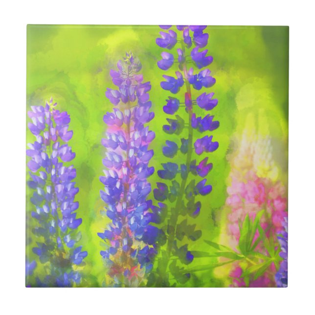Lupine Painting - Original Flower Art Tile (Front)