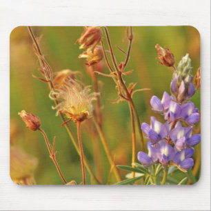 Lupine & Prairie Smoke wildflowers in Montana Mouse Pad