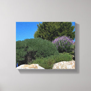 Lupine Rocks! Canvas Print