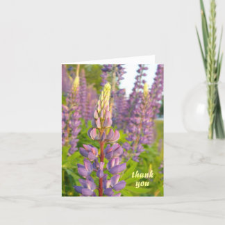 Lupine thank you note card
