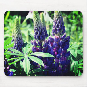 Lupine Trio Flower Mouse Pad