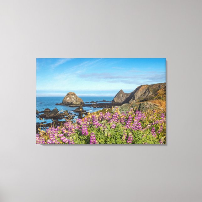 Lupine Wildflowers Cover The Hills Canvas Print (Front)