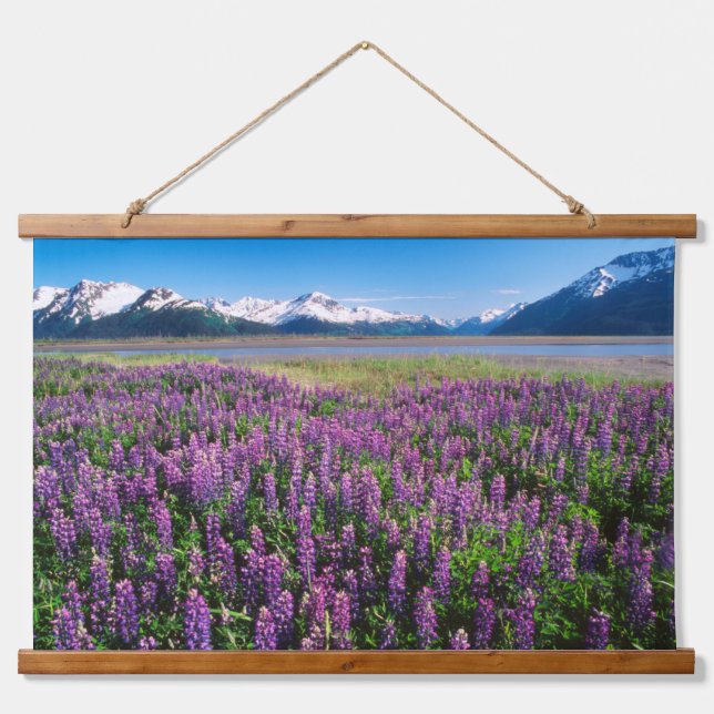 Lupines in Bloom | Kenai Mountains, Alaska Hanging Tapestry (Front)