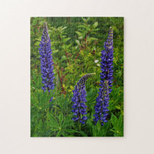 Lupines Jigsaw Puzzle