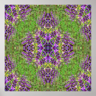 Lupines&Lace... Poster