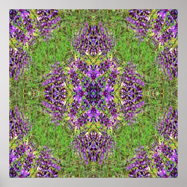 Lupines&Lace... Poster (Front)