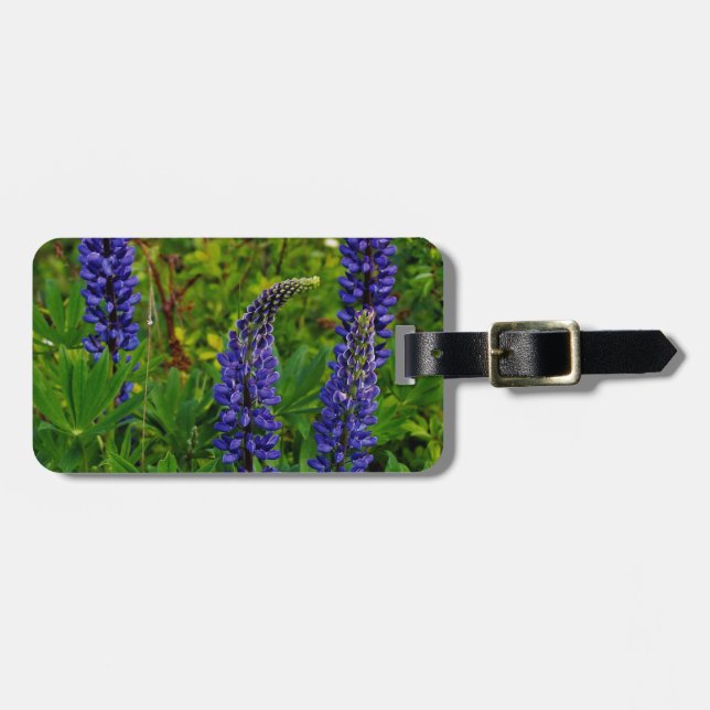 Lupines Luggage Tag (Front Horizontal)