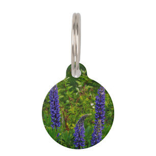 Lupines Pet Tag
