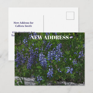 Lupins Change of Address Postcard