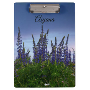 Lupins     clipboard