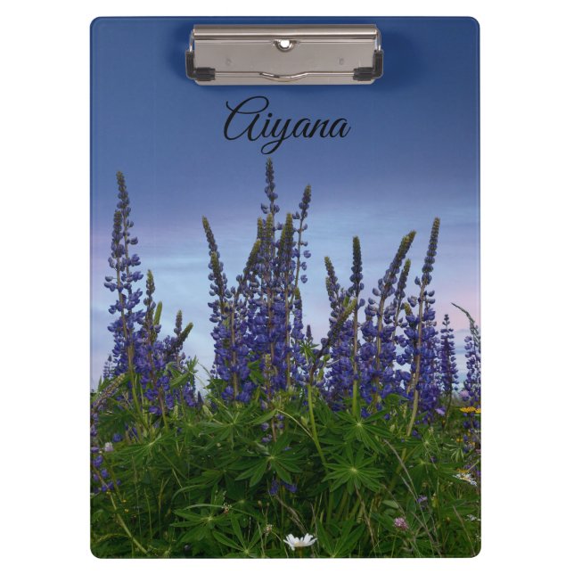 Lupins     clipboard (Front)