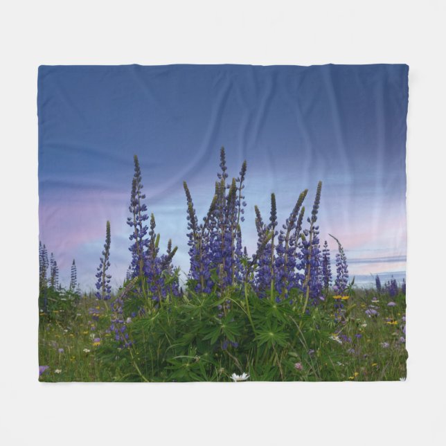 Lupins    fleece blanket (Front (Horizontal))