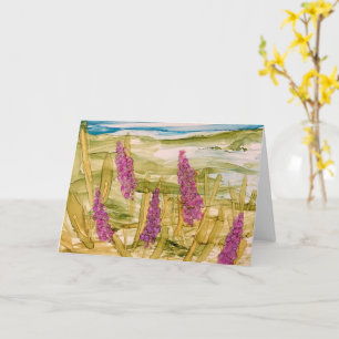 Lupins in the wild card