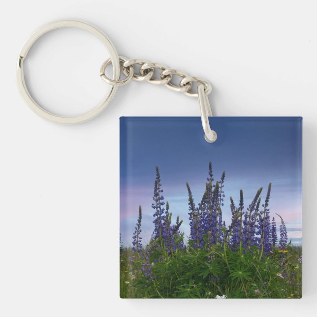 Lupins   key ring (Front)