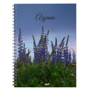 Lupins   notebook