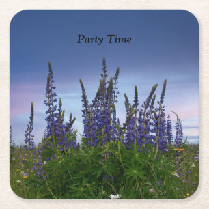 Lupins square paper coaster