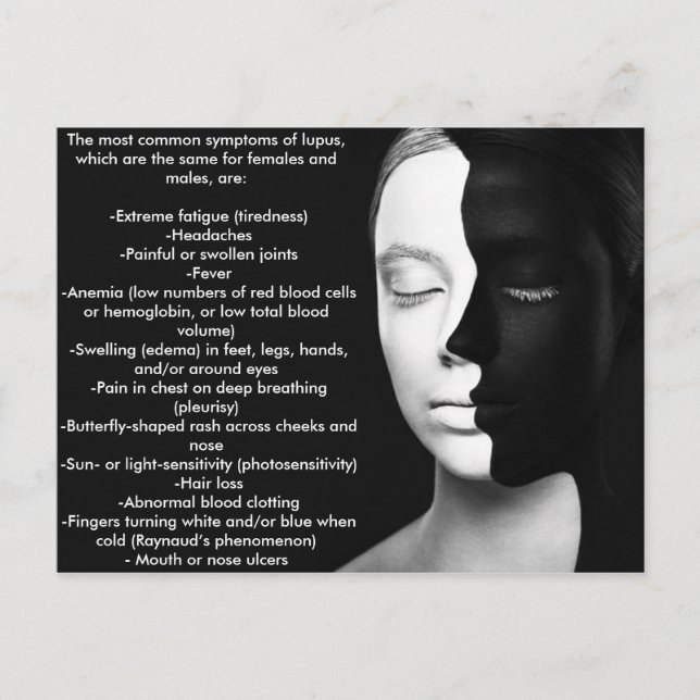 Lupus the silent partner... postcard (Front)