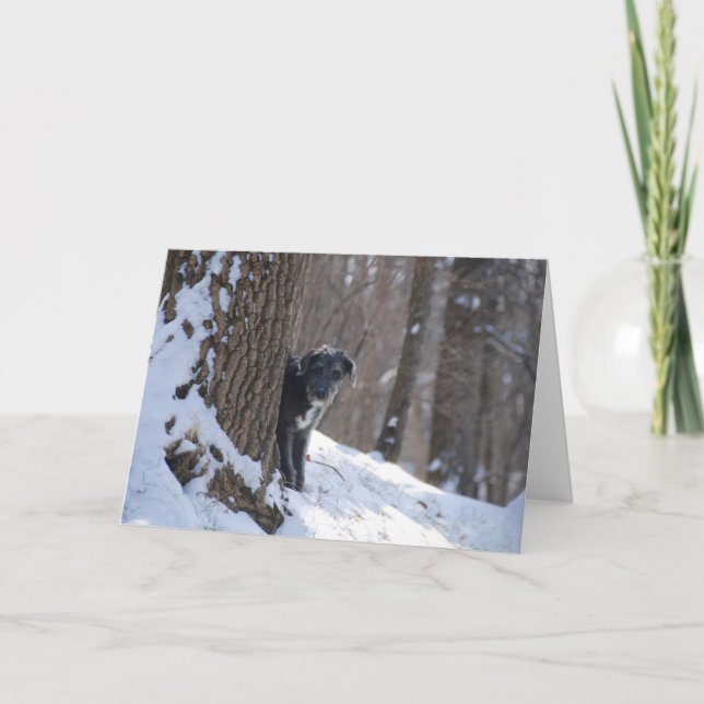 Lurcher Behind A Tree - Greeting Cards (Front)