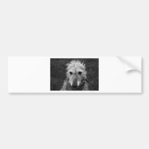 Lurcher Bumper Sticker