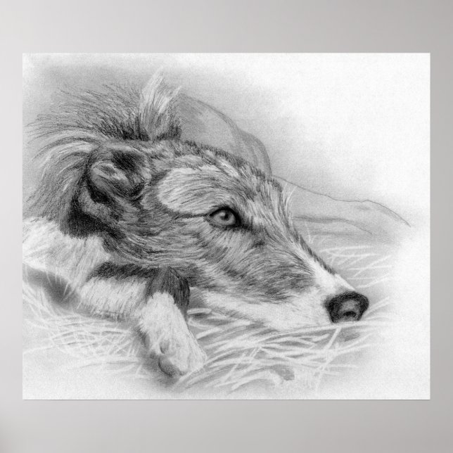 Lurcher Dog Portrait Poster (Front)