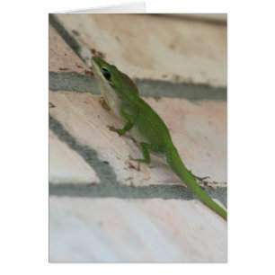 Lurking Green Lizard