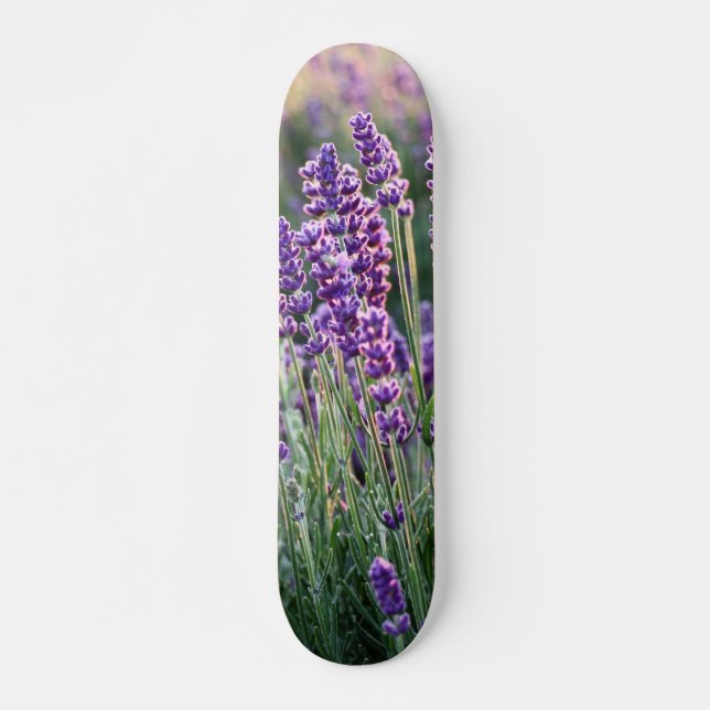 Luscious Lavender  Skateboard (Front)