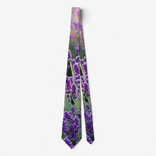 Luscious Lavender  Tie (Front)