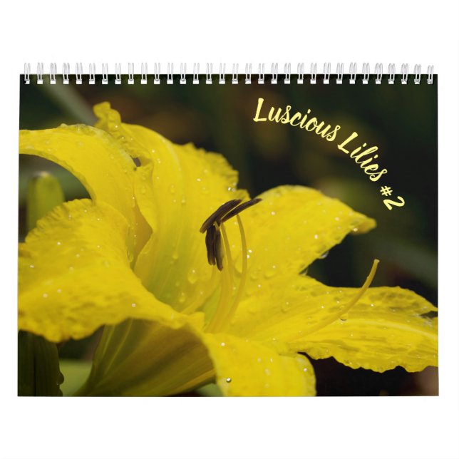 Luscious Lilies #2 Calendar (Cover)