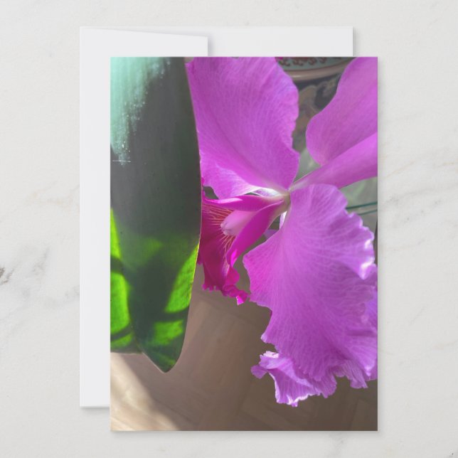 Luscious Orchid Thank You Card (Front)