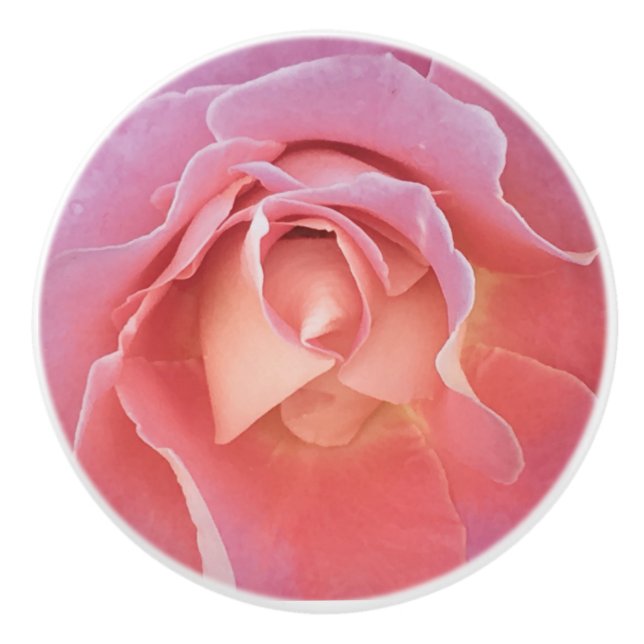 Luscious Pink Rose Ceramic Knob (Front)