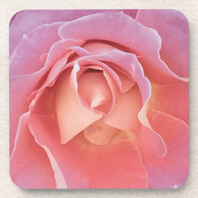 Luscious Pink Rose Coaster (Front)