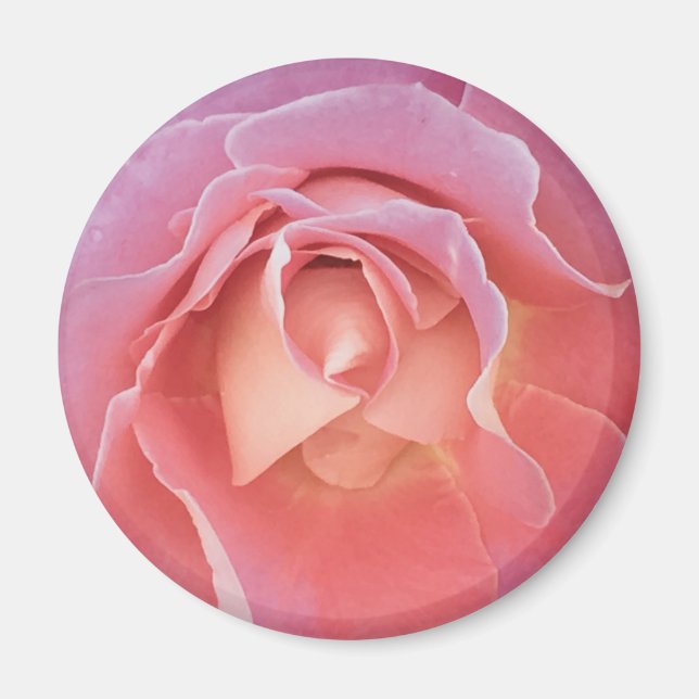Luscious Pink Rose Magnet (Front)