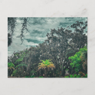 Lush Acreage Postcard