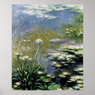 Lush Agapanthus Flowers at Giverny Poster