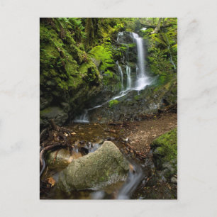Lush California Watervall Postcard