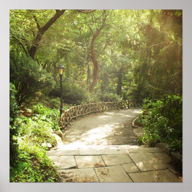 Lush Central Park Landscape, NYC, Medium Poster (Front)
