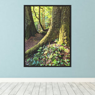 Lush Evergreen Forest Photographic Canvas Print