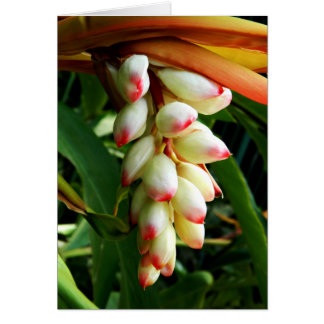 Lush exotic tropical flower