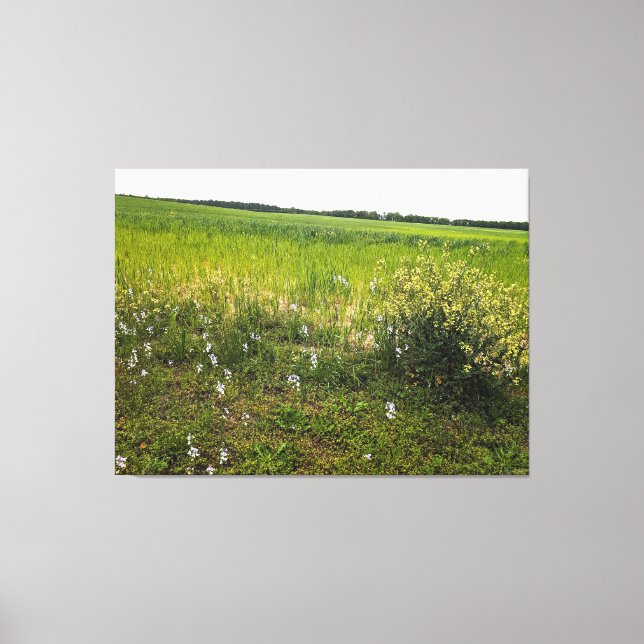 Lush Field with Wildflowers Canvas Print (Front)