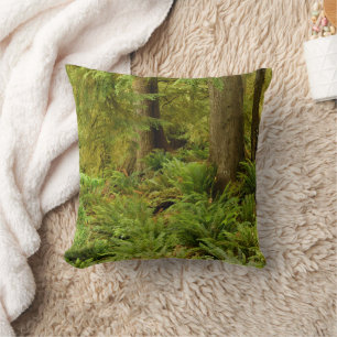 Lush Forest & Ferns   Ecola State Park, Oregon Cushion