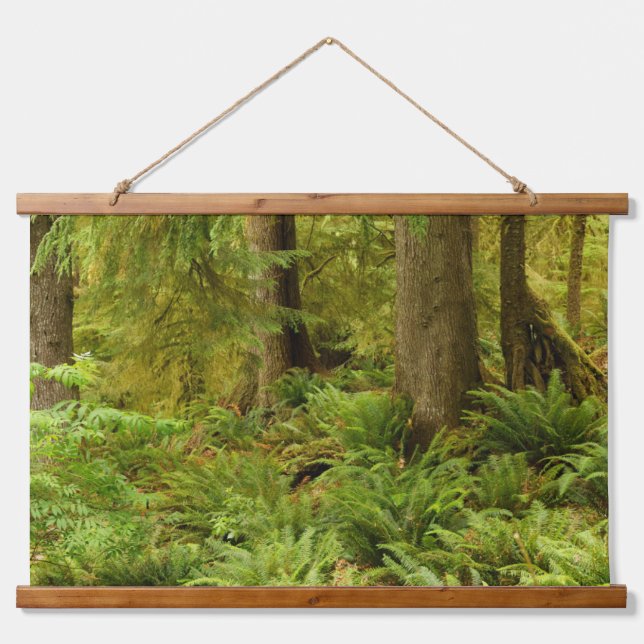 Lush Forest & Ferns | Ecola State Park, Oregon Hanging Tapestry (Front)