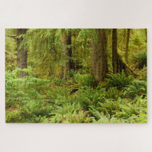 Lush Forest & Ferns   Ecola State Park, Oregon Jigsaw Puzzle